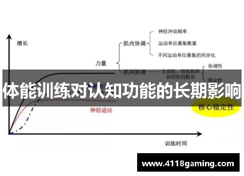 体能训练对认知功能的长期影响